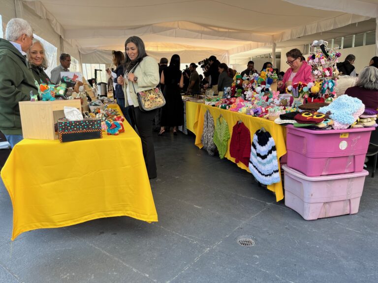 Artesanías, colima, ventas