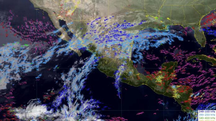 Proyecto nuevo - 2025-01-28T091520.846