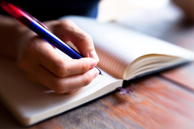Recomendación literaria: De lector a escritor de Sofía Segovia