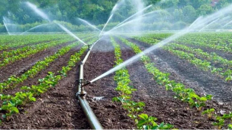 Conagua busca recuperar agua concesionada en Nuevo León para consumo humano