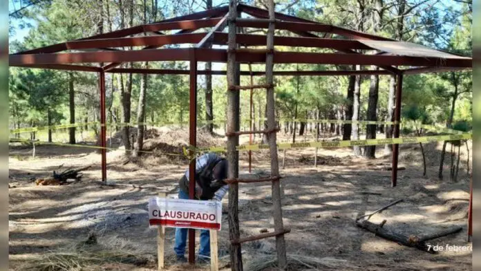 Proyecto nuevo - 2025-02-16T121305.769