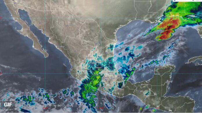 Proyecto nuevo - 2025-02-19T091019.559