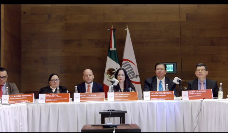 Reforma al Poder Judicial y desaparición de organismos autónomos, tumbaron y detienen la llegada de inversión extranjera: IMEF