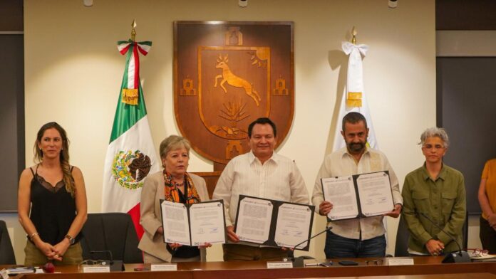 Proyecto nuevo - 2025-03-14T151906.576