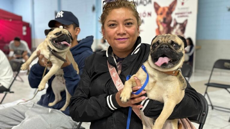 Tláhuac invita a las Mega Jornadas gratuitas de esterilización para perros y gatos