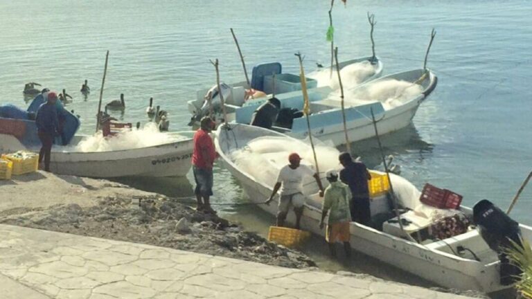 Pescadores de Campeche protestaron por desalojo de Profepa en el malecón Camino Real