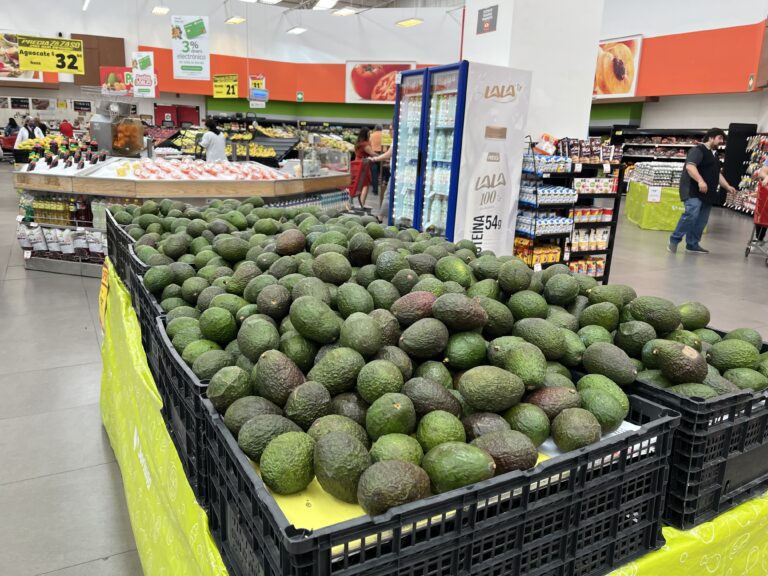Más de 96 mil 300 toneladas de aguacate fueron exportadas a EE.UU. por 5 de Mayo: APEAM