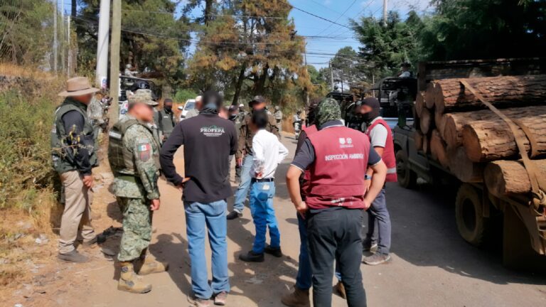 Profepa clausura aserradero en Tres Marías por operar sin autorización