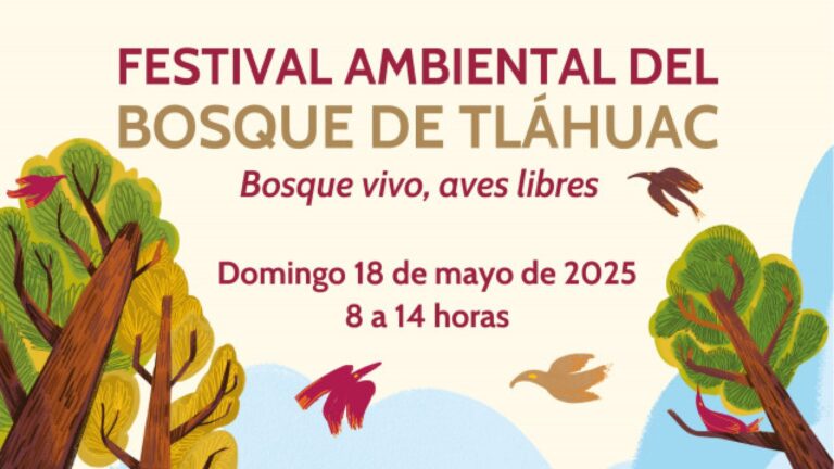 Bosque de Tláhuac celebra su primer aniversario con observación de aves