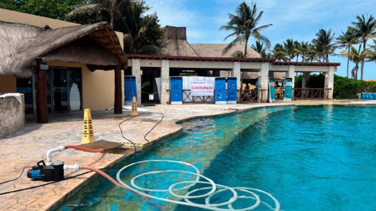 Profepa cierra definitivamente el delfinario de Hotel Barceló tras muerte de ejemplares