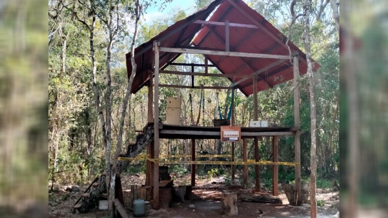Frenan proyecto irregular en Yucatán por destrucción de selva