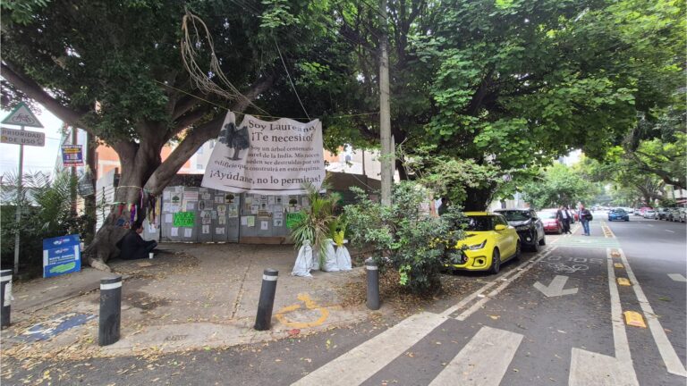 Vecinos de Tlacoquemécatl luchan por proteger a “Laureano”, el árbol centenario de la Benito Juárez