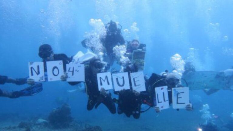 Semarnat reevalúa proyecto de muelle en Cozumel tras impugnación ciudadana