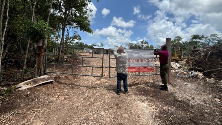 Clausuran siete predios en la Península de Yucatán por deforestación ilegal
