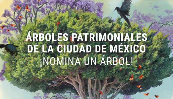 ARBOLES CDMX
