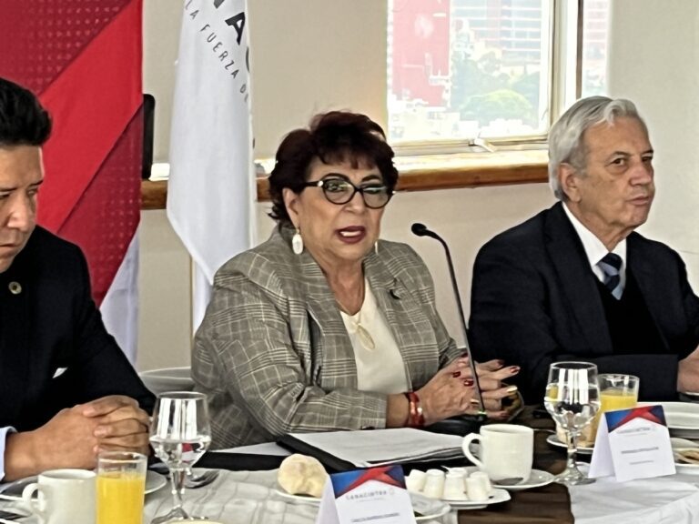 Por cuestiones de salud Esperanza Ortega Azar, deja la presidencia de Canacintra