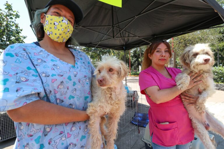 En Nezahualcóyotl ponen en marcha el Programa Adopta no Compres