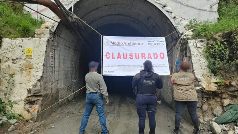 Profepa clausura mina ilegal en Michoacán que operaba cerca de la Reserva Monarca