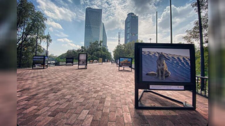Semarnat inauguró exposición fotográfica en Chapultepec para promover conservación ambiental