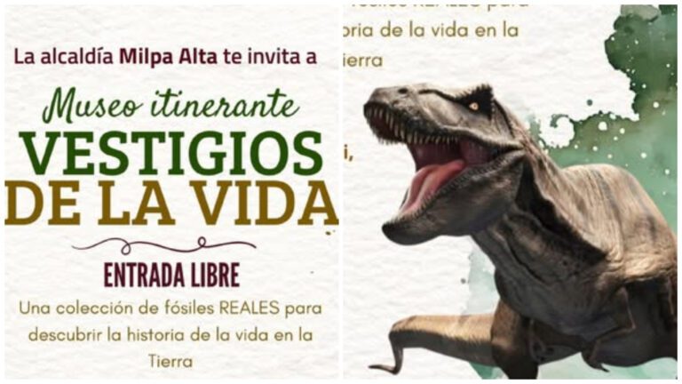 Descubre fósiles reales de dinosaurios en una nueva exposición en Milpa Alta