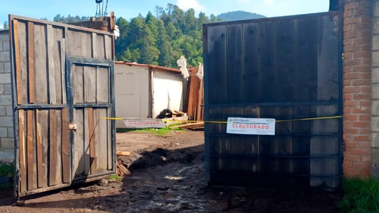 Capturan a tres en Ocuilan por explotación ilegal de madera en zona de recarga hídrica