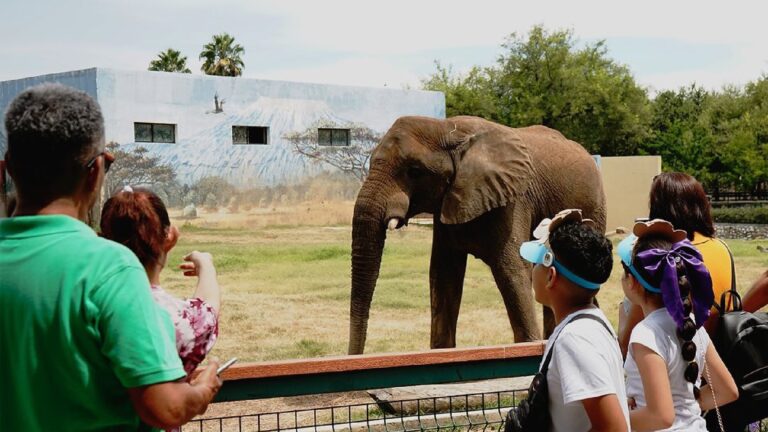 Profepa clausura zoológico “La Pastora” por graves irregularidades