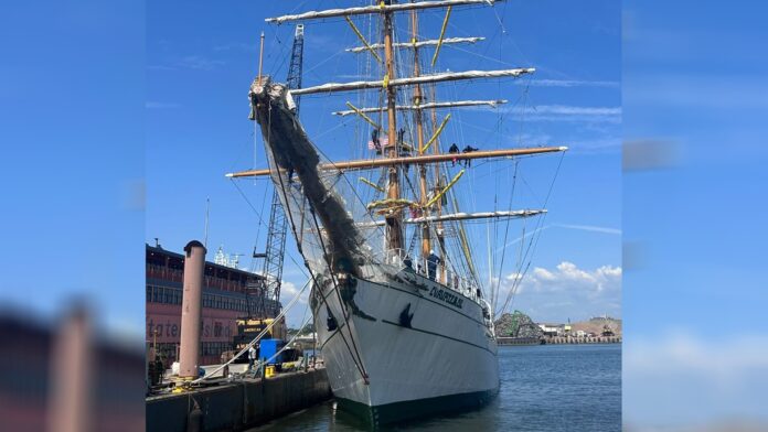 Proyecto nuevo - 2025-10-05T115733.678