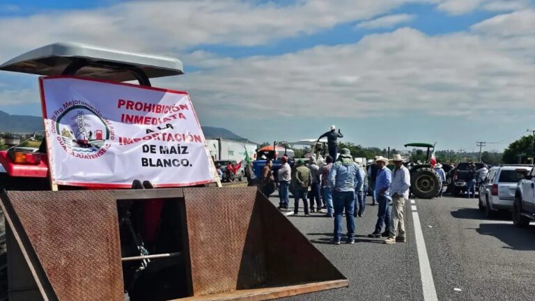 Agricultores exigen precios rentables para poder seguir sembrando maíz no transgénico