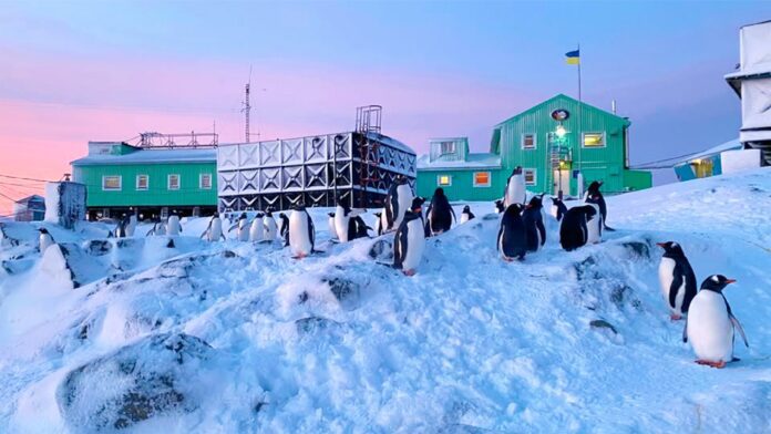 Proyecto nuevo - 2025-11-20T175753.346