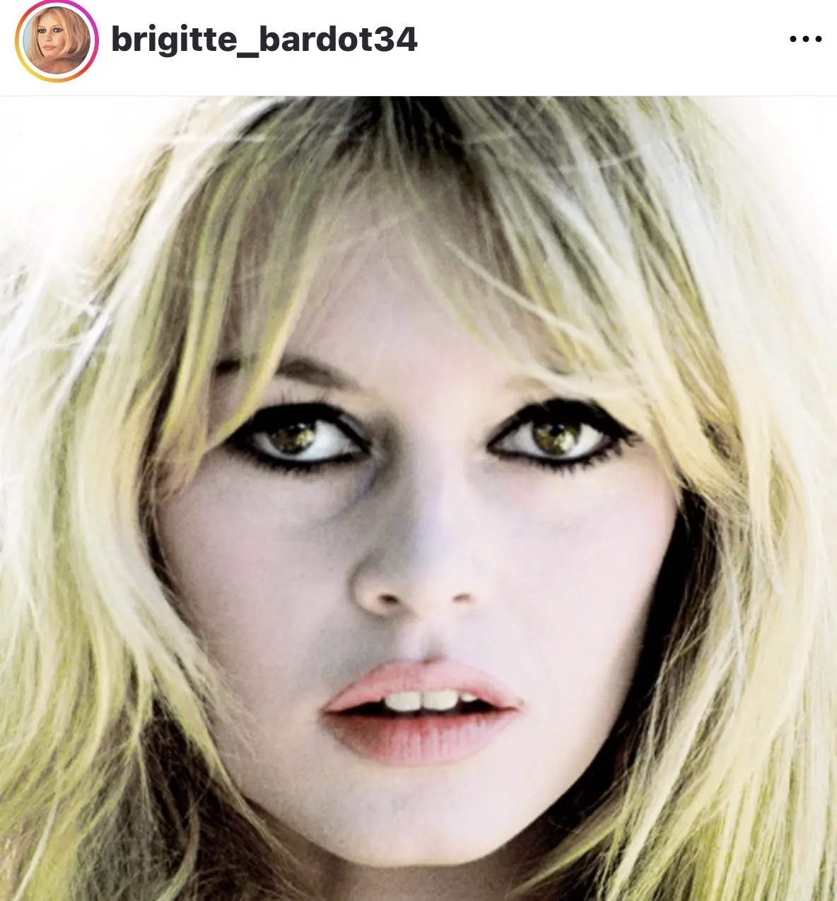 Murió la leyenda francesa, Bigitte Bardot - 88.9 Noticias