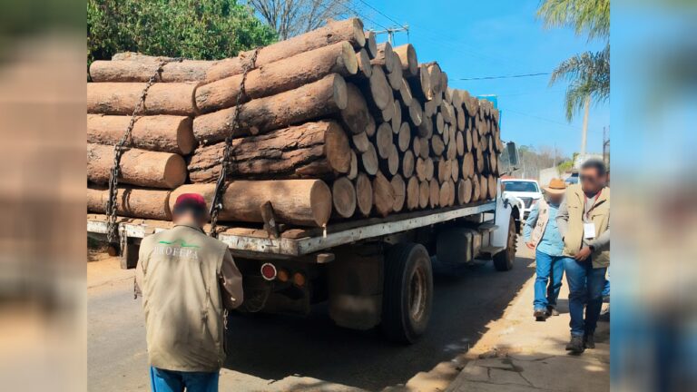 Profepa asegura vehículos y recursos forestales en Operativo Nacional contra tala ilegal