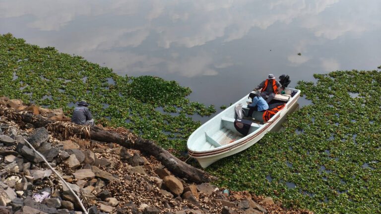 Profepa multa a 16 empresas con 33 MDP por contaminar el río Tula