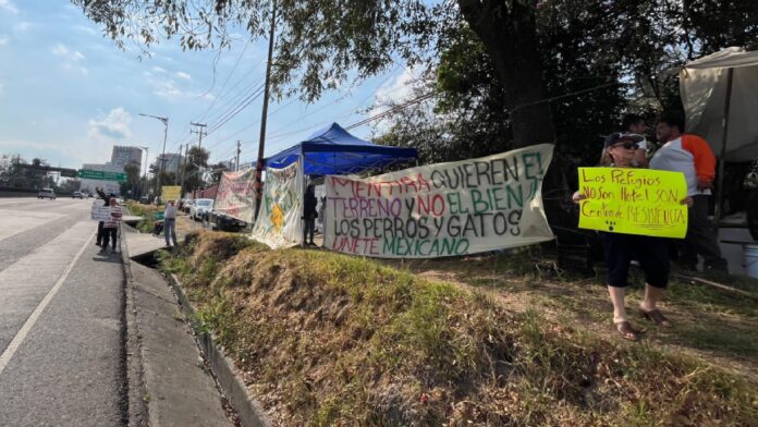 Refugio Franciscanos denuncia descontrol de perros en el albergue; busca la