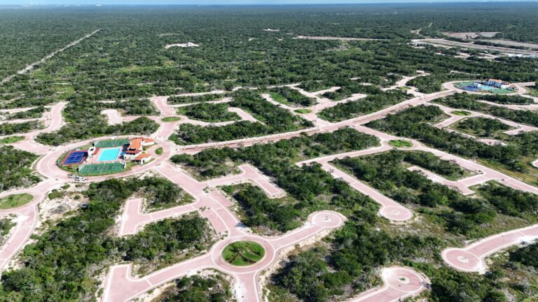 Profepa suspende proyecto de urbanización en Chelem, Yucatán