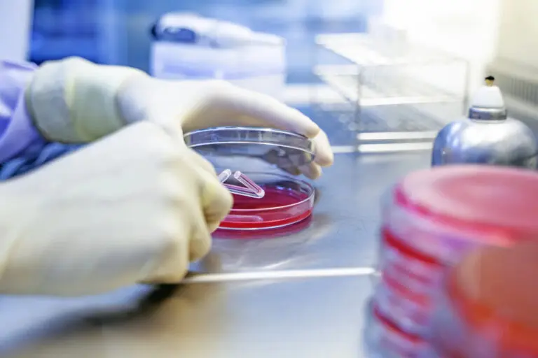 Resistencia a los antimicrobianos es una de las 10 principales amenazas a la salud