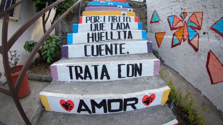 Rehabilitan callejón de Naucalpan en honor a “Lobito”, el perrito comunitario lanzado por las escaleras