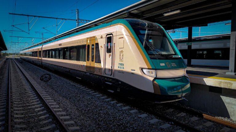 Tribunal ordena a Profepa reforzar vigilancia ambiental en el Tramo 5 del Tren Maya