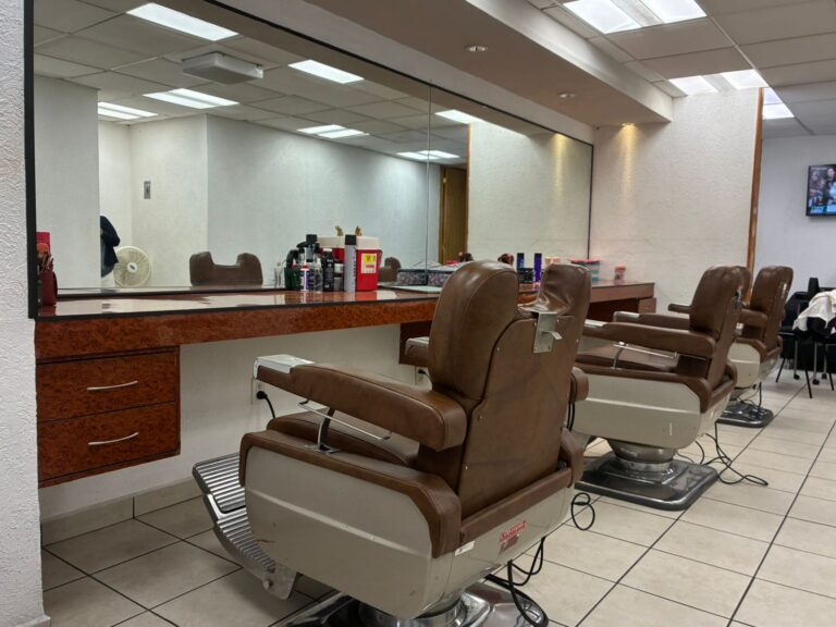 diputados estéticas