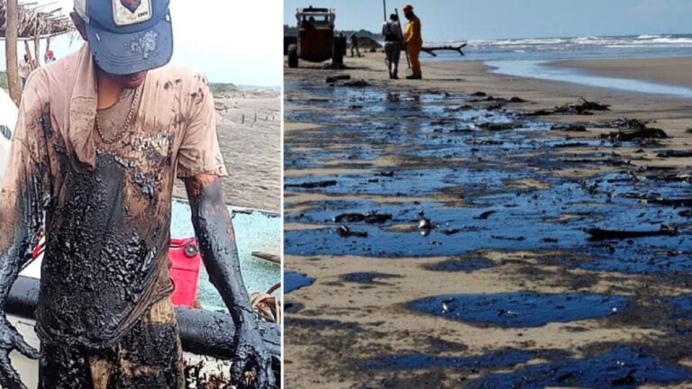Alcaldes de Veracruz denuncian ante Profepa y Semarnat daños a comunidades costeras por derrame de hidrocarburo