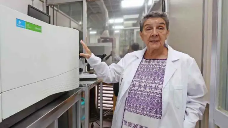 IPN instala nueva estación para medir gases tóxicos del sargazo en Playa del Carmen