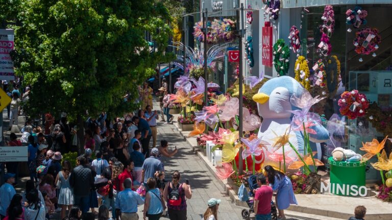 Festival de Flores y Jardines de Polanco