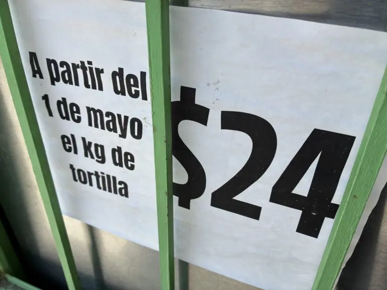 Descartan más aumentos en el precio en la tortilla: CNT