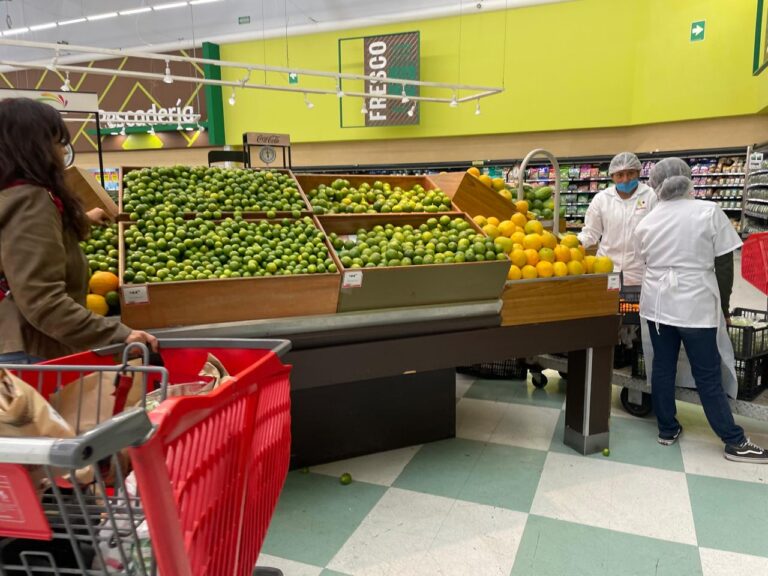 El costo de la alimentación sigue siendo el principal golpe al bolsillo de los hogares: ANPEC