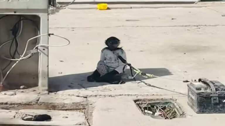 Rescatan a mono araña amarrado bajo el sol en Ahome