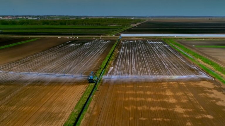 Conagua niega sanciones a productores por ahorro de agua