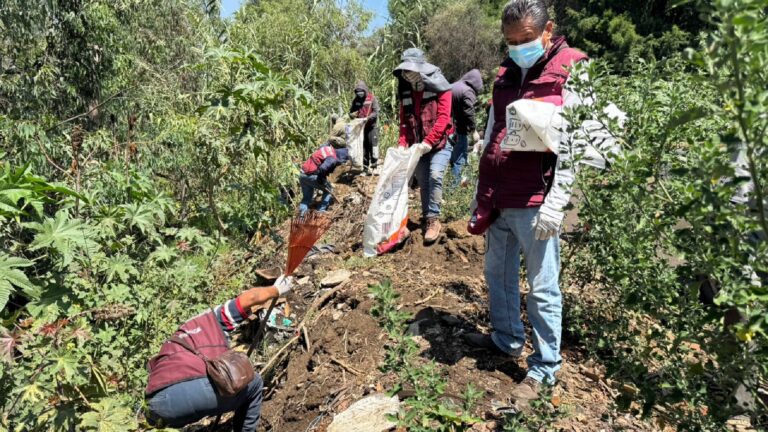 Retiran 29 toneladas de basura en zona lacustre Tláhuac-Xico