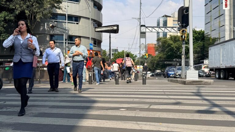 Muertes y lesiones viales