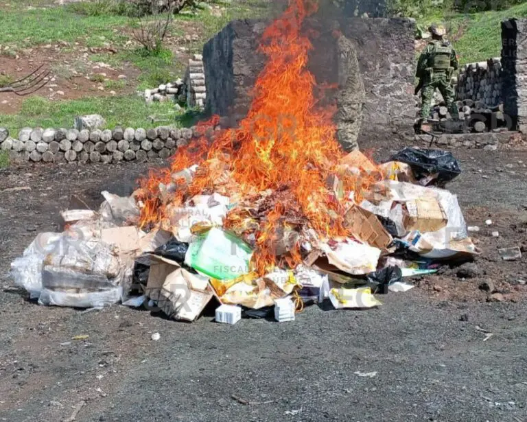 FGR incinera casi 180 kilos de droga asegurada en la CDMX