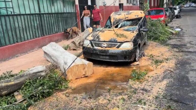 Alcaldía Miguel Hidalgo reportó 42 autos dañados por tormenta del pasado jueves