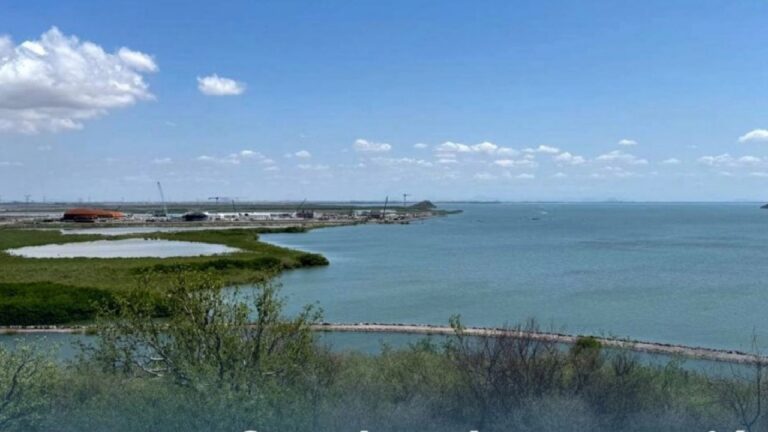Semarnat refuerza vigilancia en construcción de la planta de amoníaco en Topolobampo